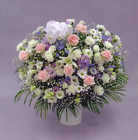 洋花23000