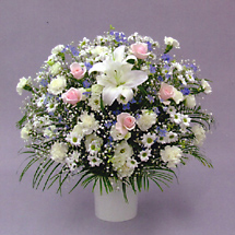洋花18000