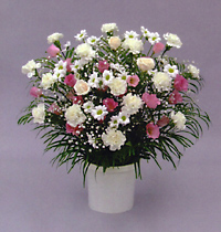 洋花15000